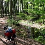 0605F 04 Muensterland